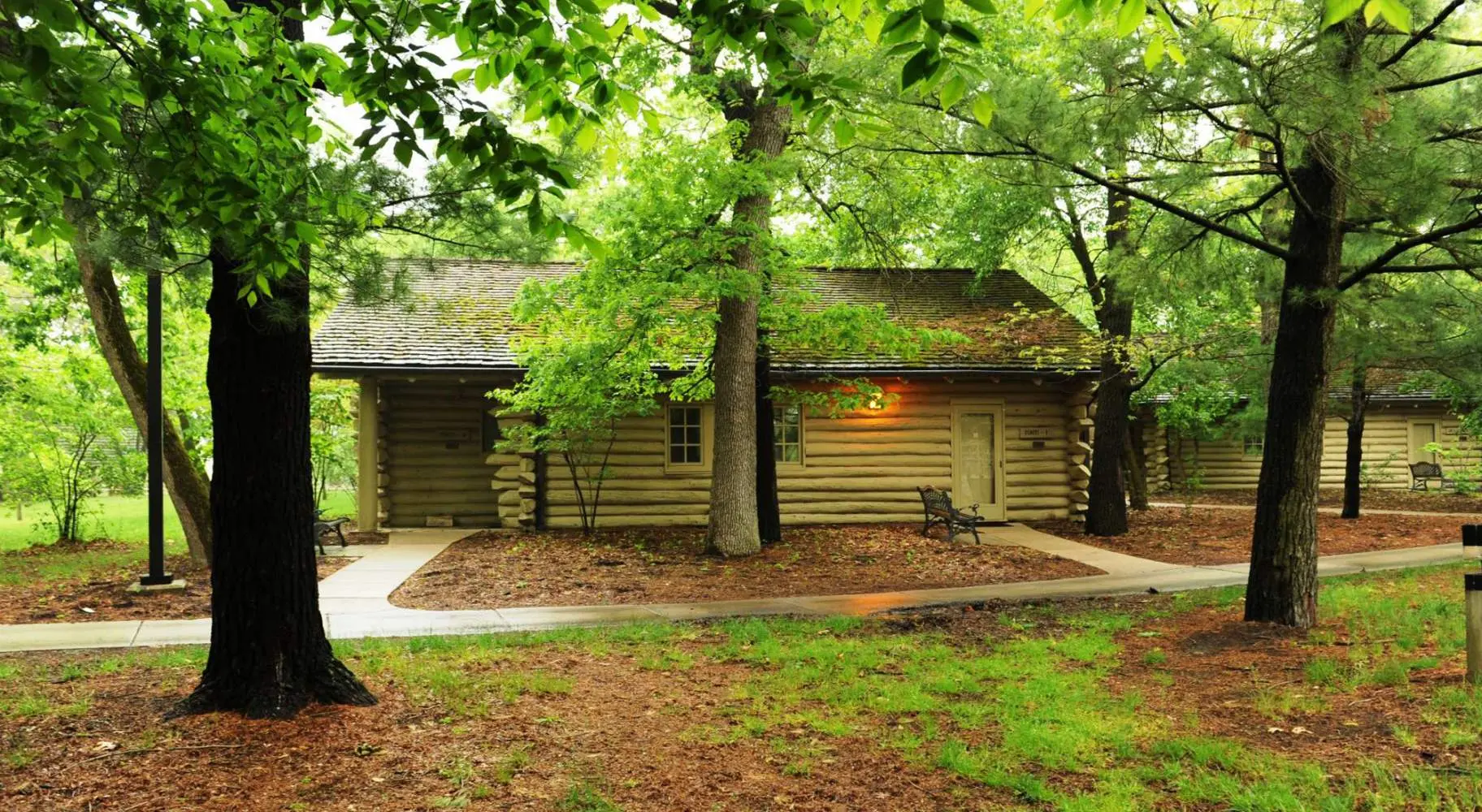 木立の中のログハウス