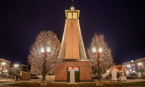 ベリー・メリー・マリオン