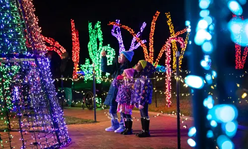 ロックフォード・オール・アグロー