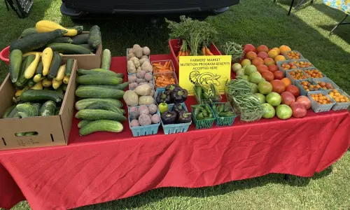 ベントン・ファーマーズ・マーケットの新鮮な農産物のテーブル