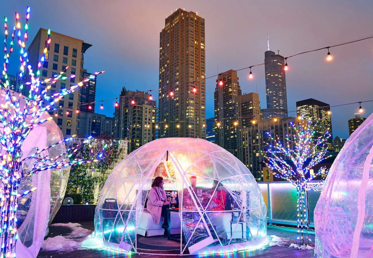 冬のシカゴの魅力｜Enjoy Illinois シカゴビーンスノードーム, image size:1300x900