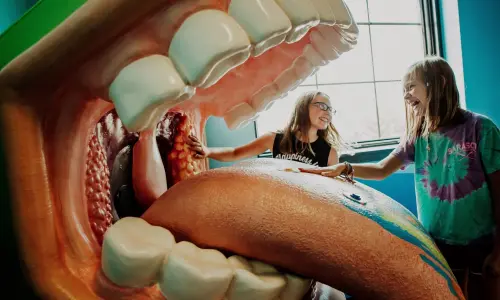 キッツェウム博物館の巨大な口