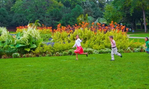 芝生を走る2人の子供
