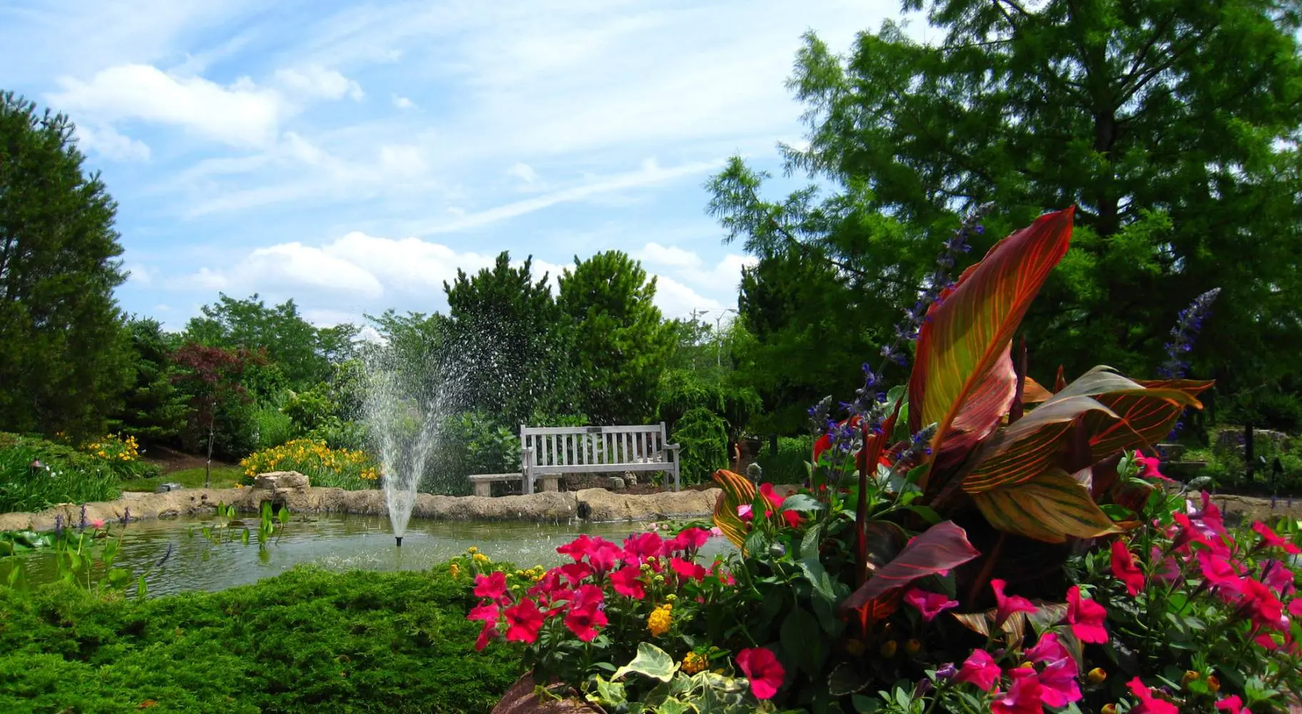池と椅子と花のある庭