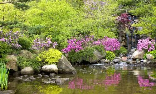 アンダーソン・ガーデンの池。