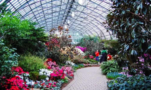 花と緑がいっぱいの屋内公園。 