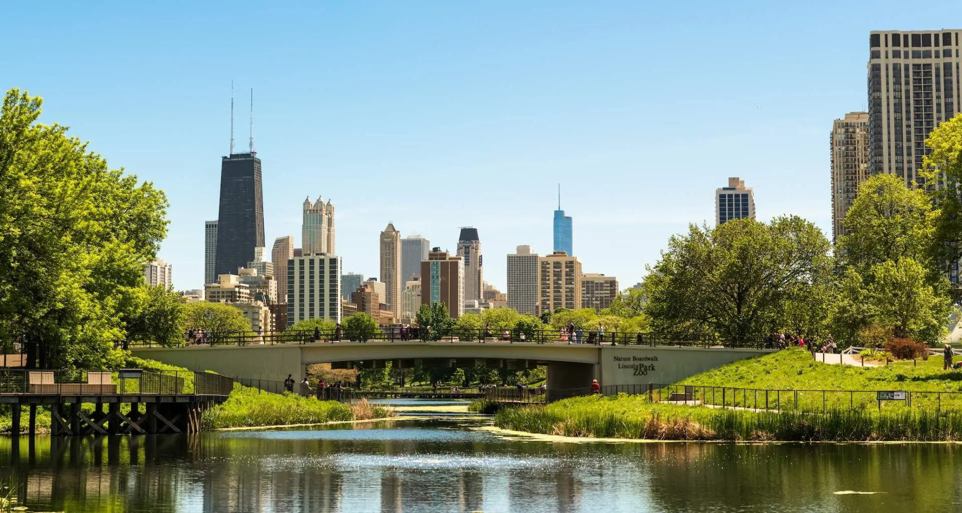 緑の大地と木々、背後に橋と市街地のビル群