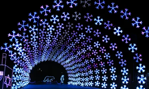 ホリデーシーズンの光のショー。