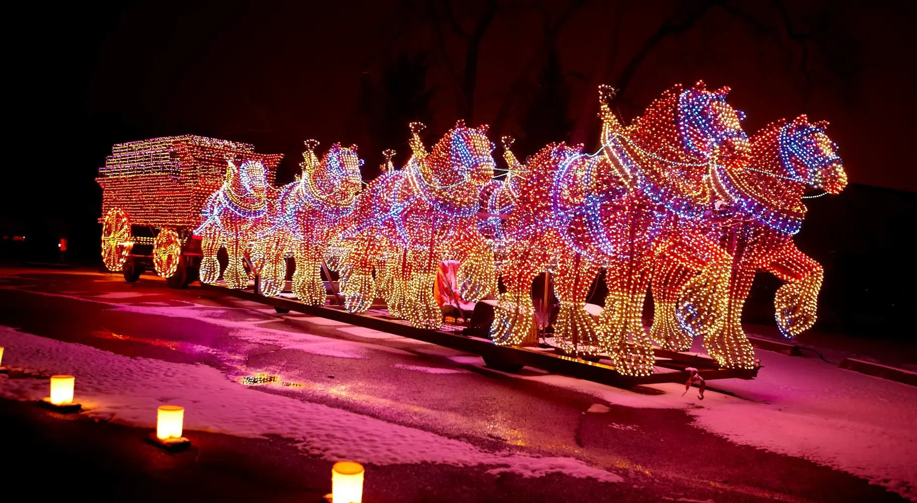 電飾で覆われたクリスマス・ディスプレイ
