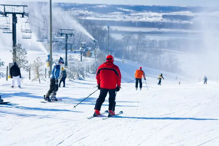栗山を滑り降りるスキーヤーたち