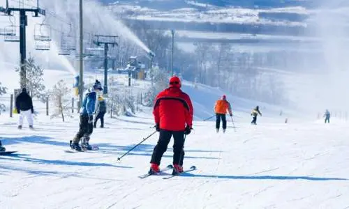栗山を滑り降りるスキーヤーたち